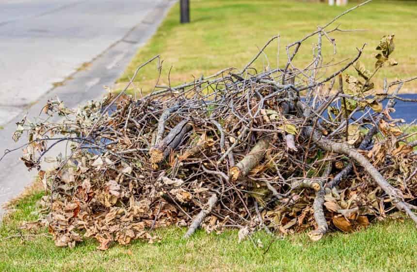 Debris Removal image