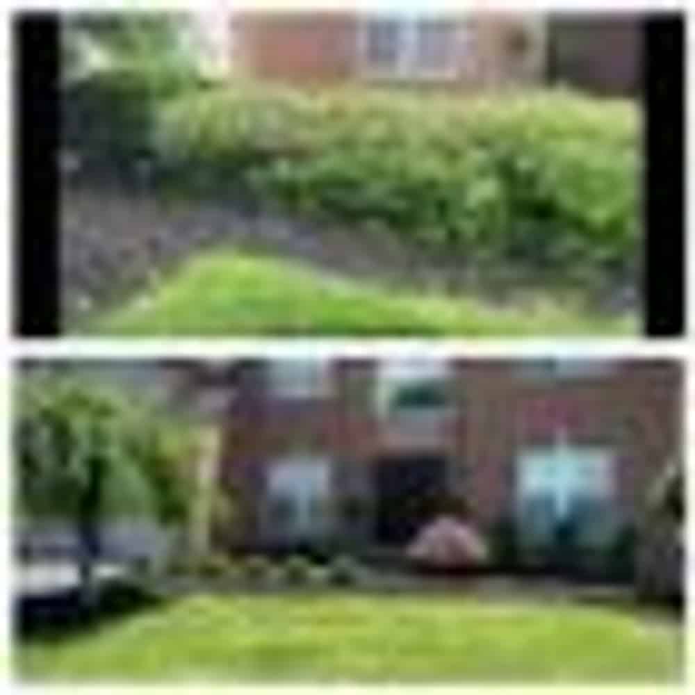 Landscaping image