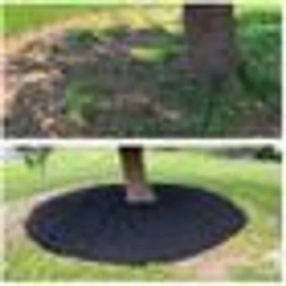 Landscape Maintenance image