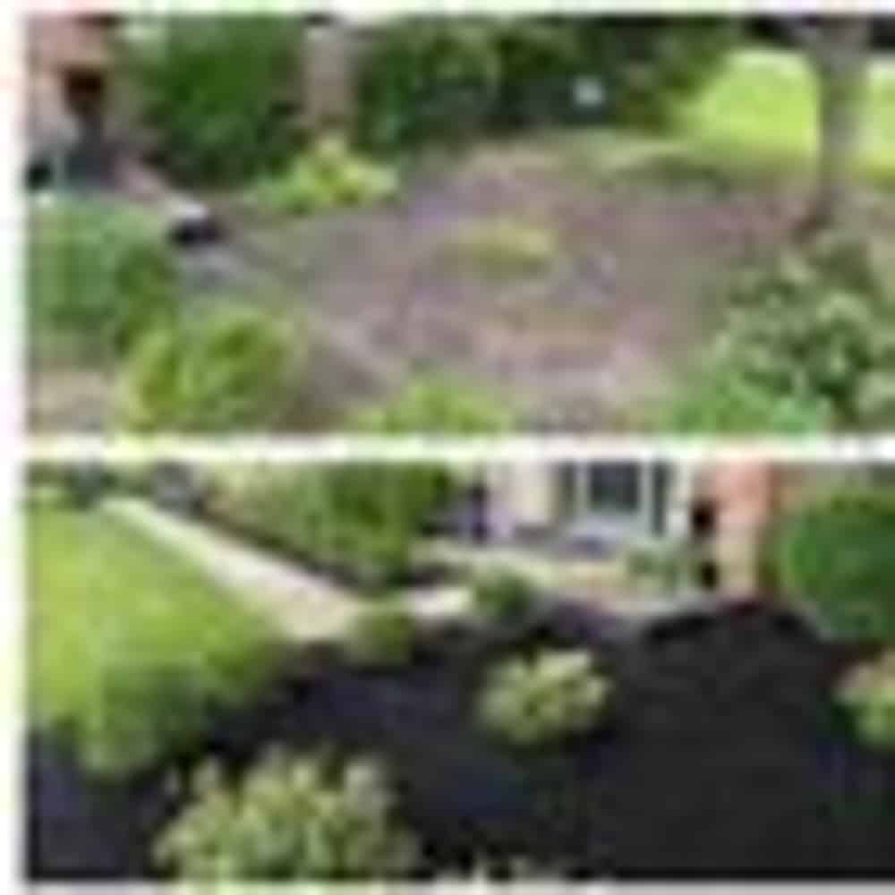 Landscape Installation image