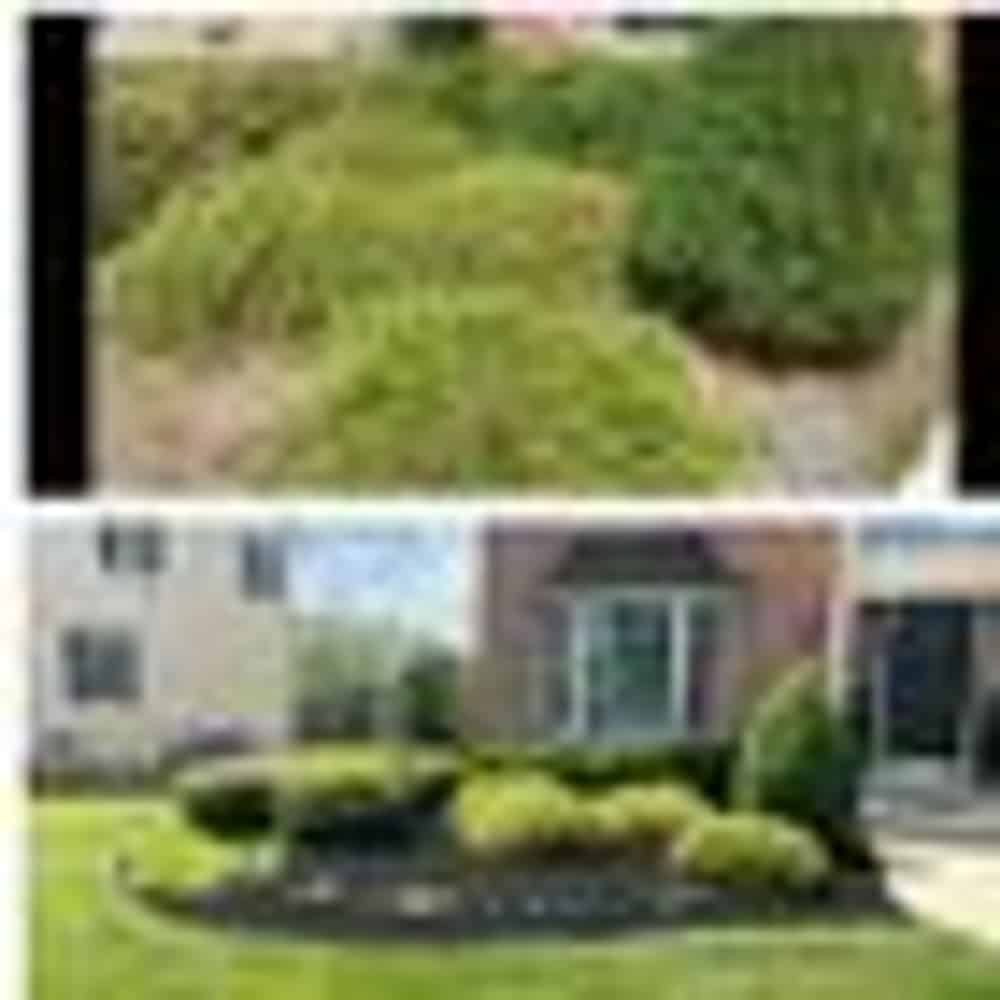 Hedge Trimming image