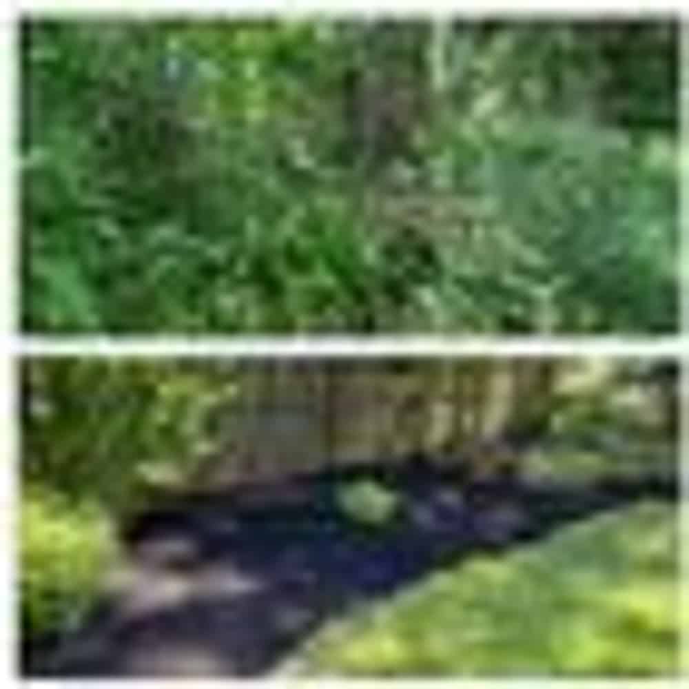 Hedge Installation image