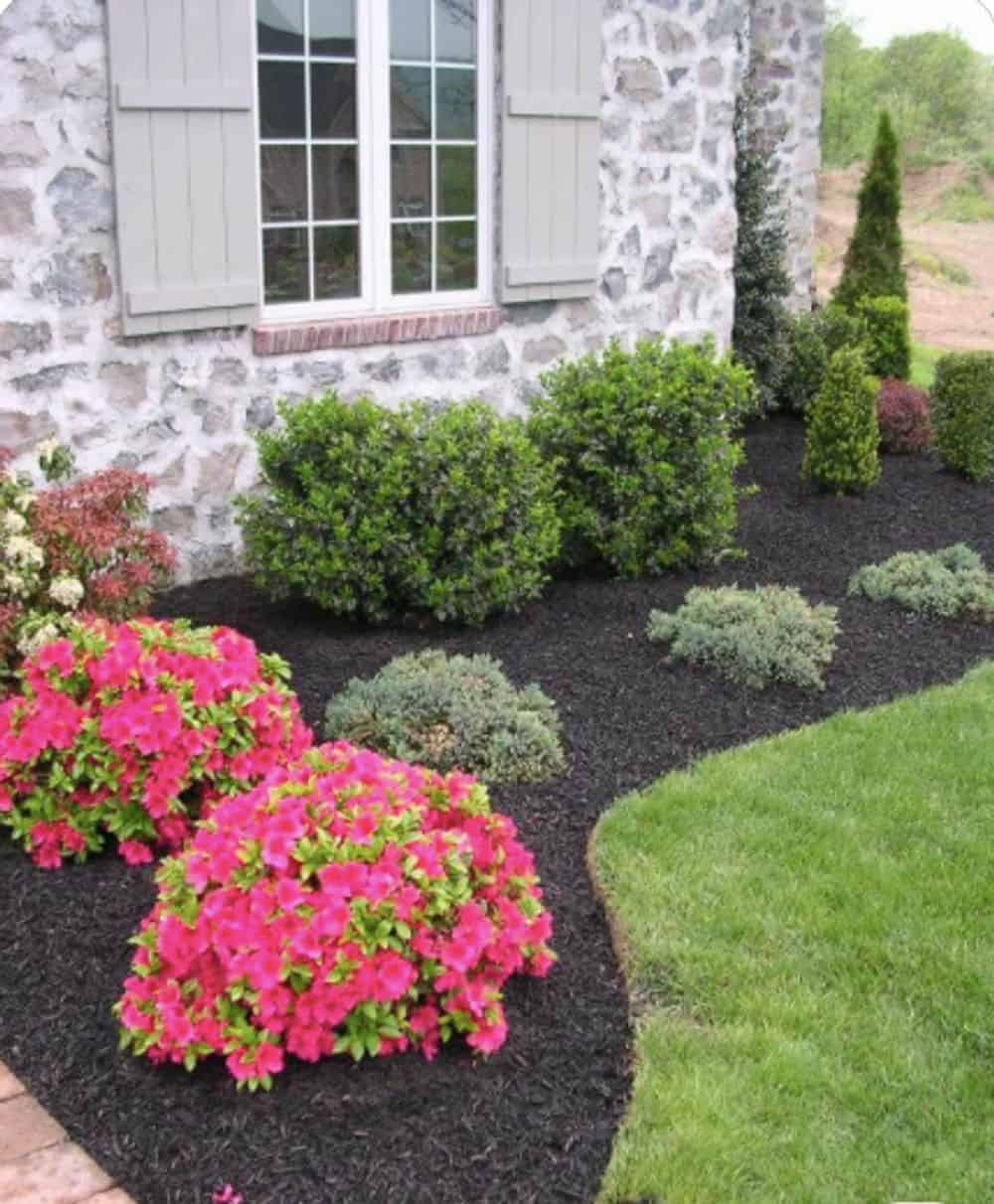 Lawn & Shrub Maintenance image