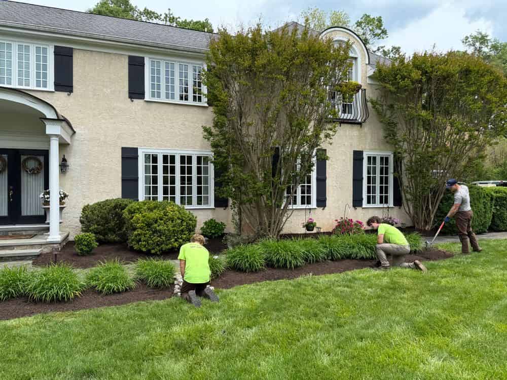 Seasonal Cleanups image