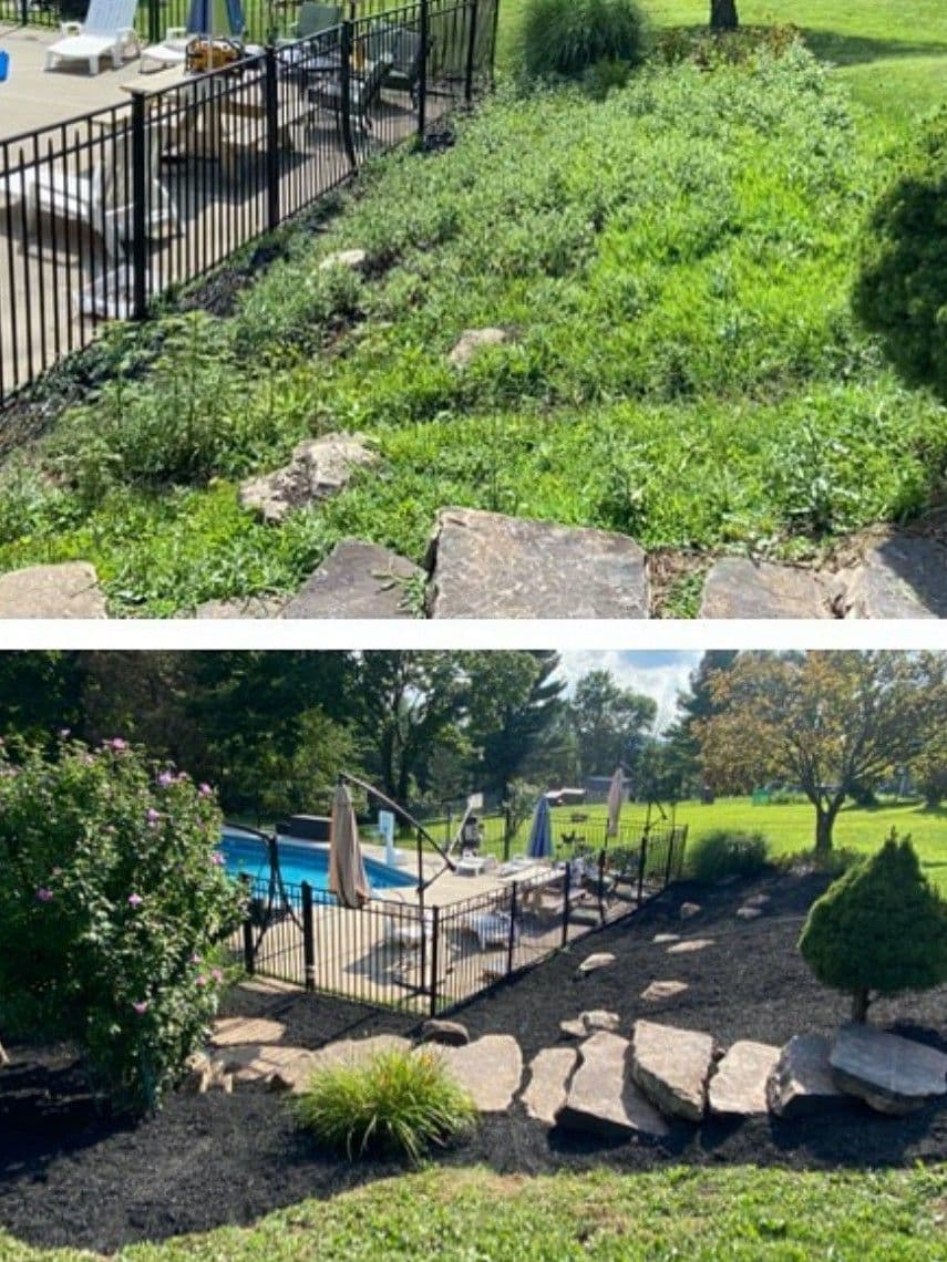 Lush yard transformation featuring a pool area with landscaped stones and green plants.