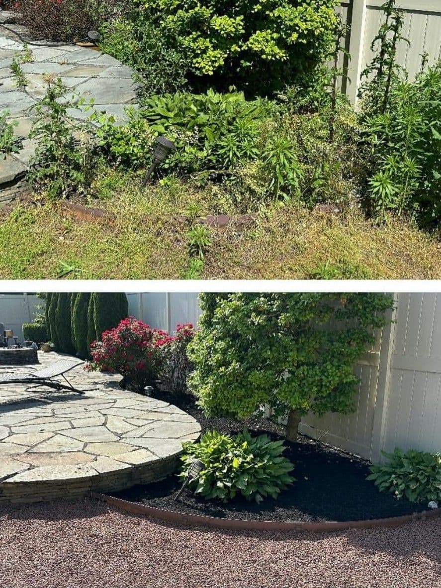 Before and after garden landscape transformation with stone walkway and trimmed plants.