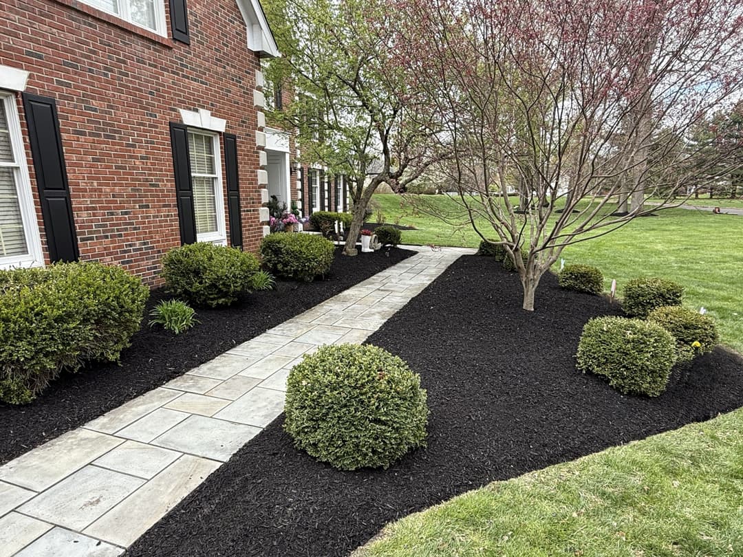Beautiful landscaped front yard with stone pathway, black mulch, and trimmed shrubs near a brick house.