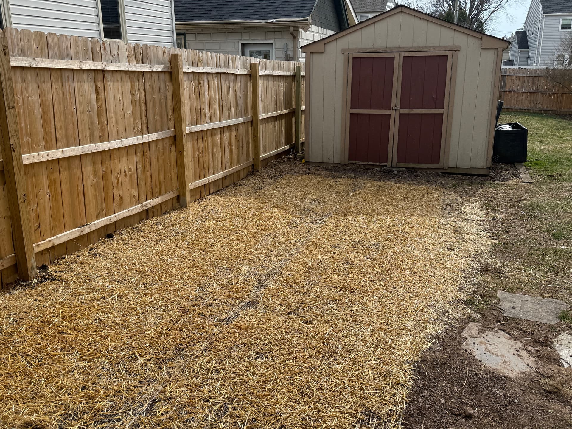 Gallery photos for Backyard Cleanup and Renovation: Image #1