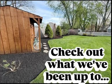 Project Flagstone Walkways, Pool Surrounds and Overgrown Beds - A Week of Work image