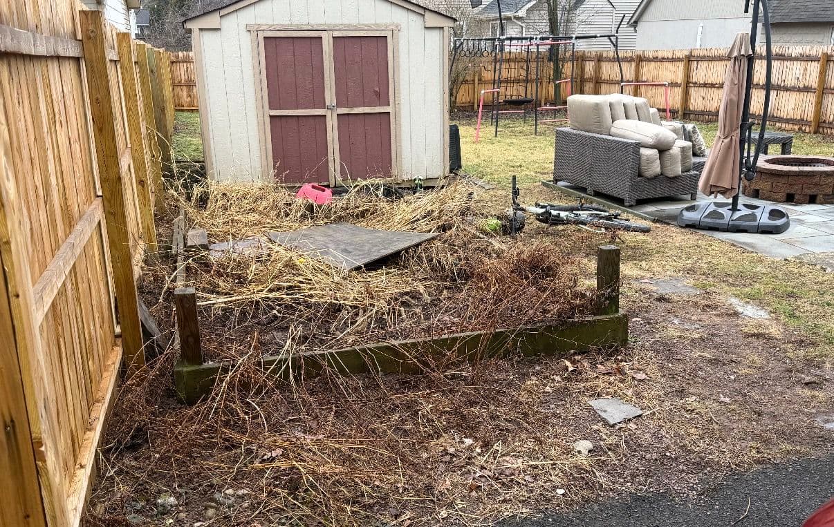 Backyard Cleanup and Renovation image