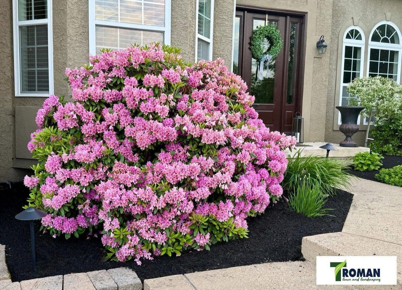 Project Spring Cleanup with Our Team of Landscape Experts image