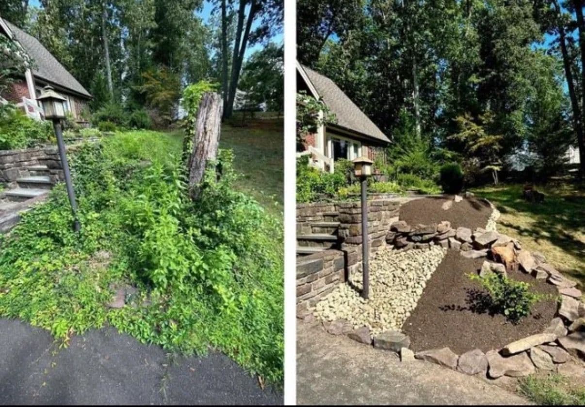 Project Dramatic Yard Transformation in Doylestown image