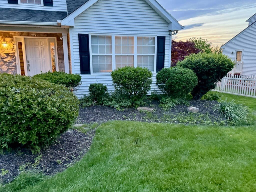Revitalize Your Lawn with Expert Care image