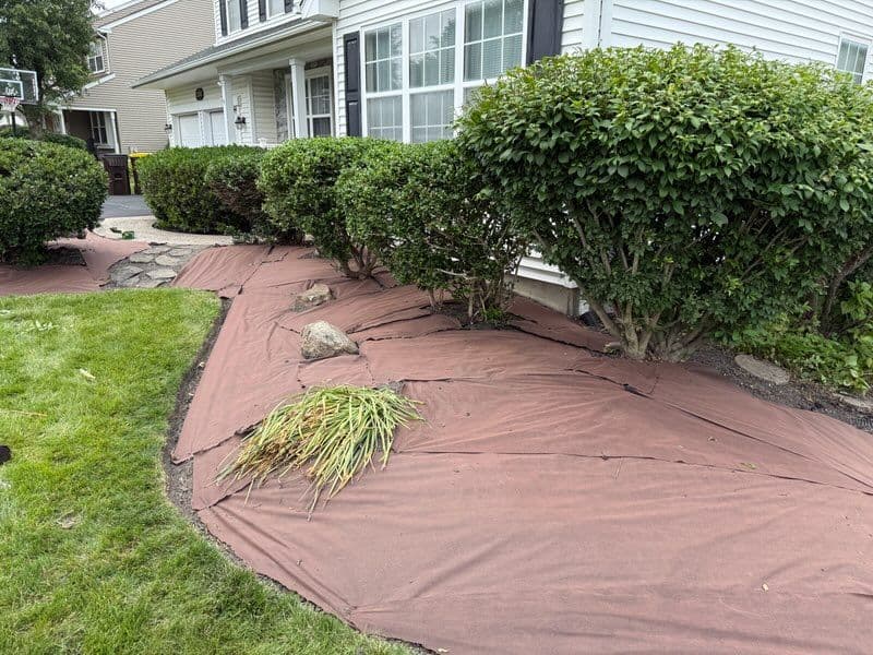 Gallery photos for Revitalize Your Lawn with Expert Care: Image #1
