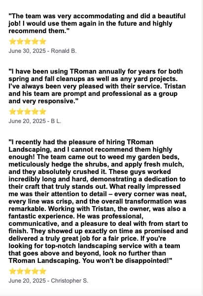 Project Proud to Share Rave Client Testimonials image