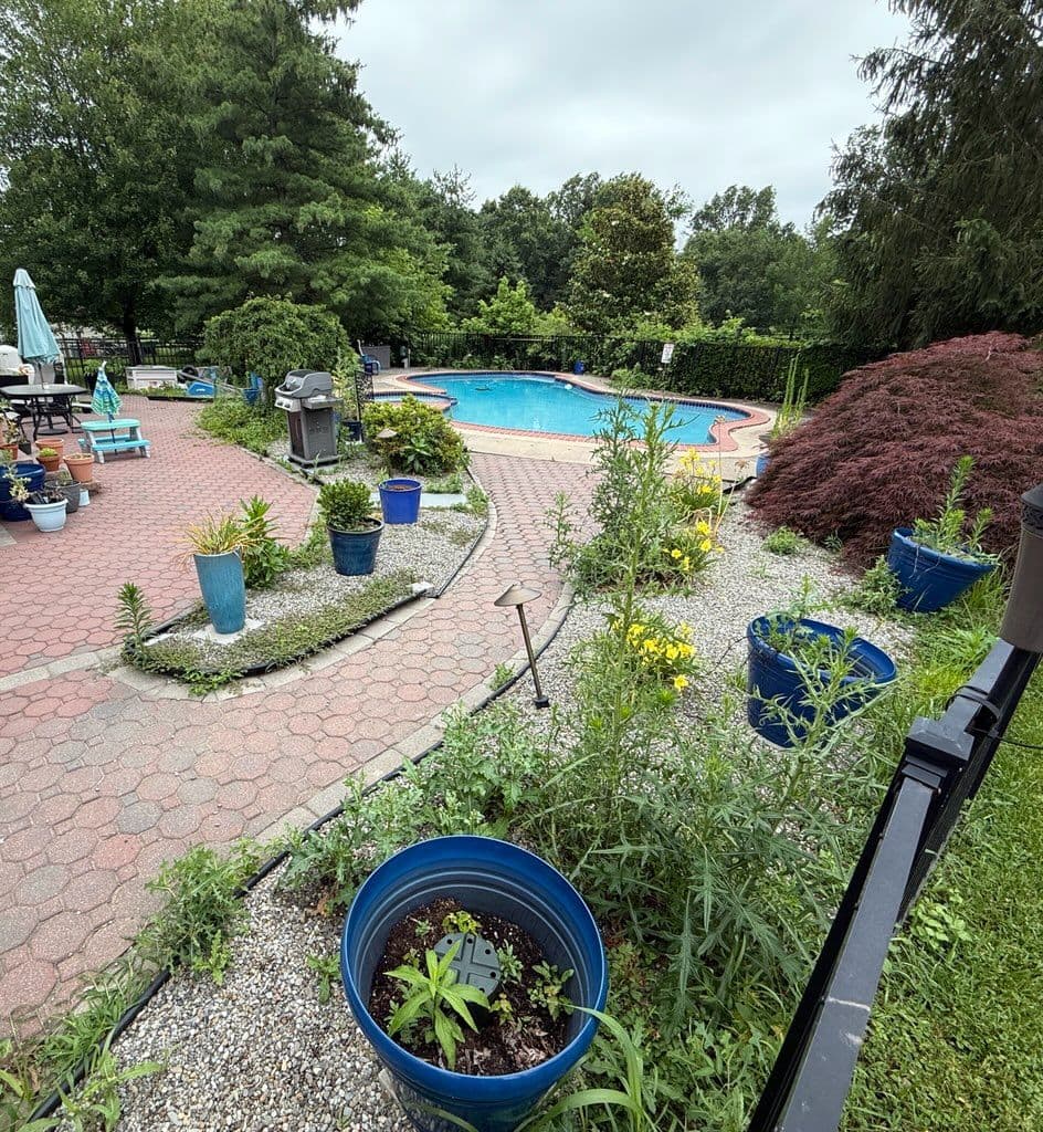 Stunning Poolside Transformation by Our Team image
