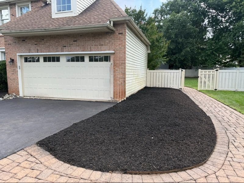 Gallery photos for Shrub Removal for the Win!: Image #1