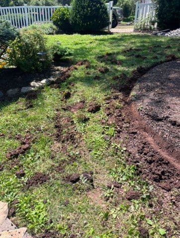Gallery photos for Transformative Walkway Installation in Doylestown: Image #2