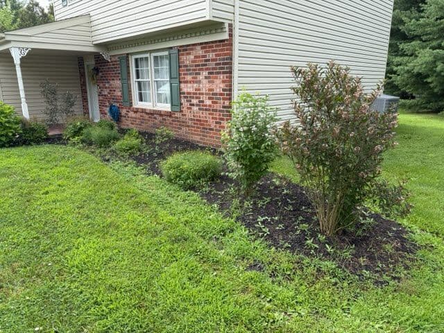 Transform Your Landscape with Expert Weeding image
