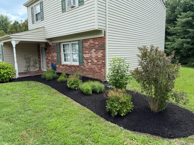 Gallery photos for Transform Your Landscape with Expert Weeding: Image #1