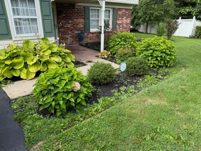 Gallery photos for Transform Your Landscape with Expert Weeding: Image #2