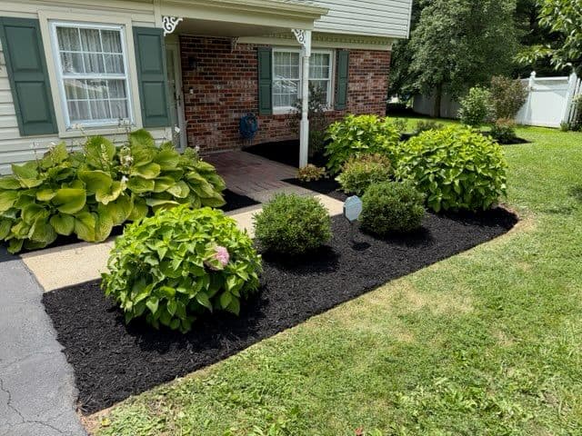 Gallery photos for Transform Your Landscape with Expert Weeding: Image #3