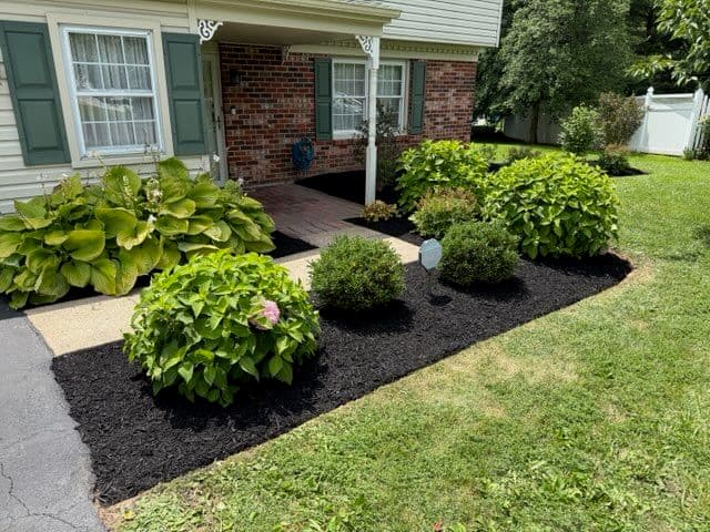 Project Transform Your Landscape with Expert Weeding image