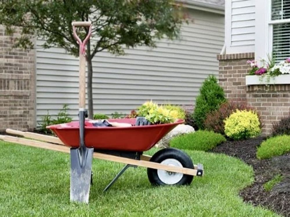 Red wheelbarrow with shovel, flowers, and lush green lawn in residential garden.