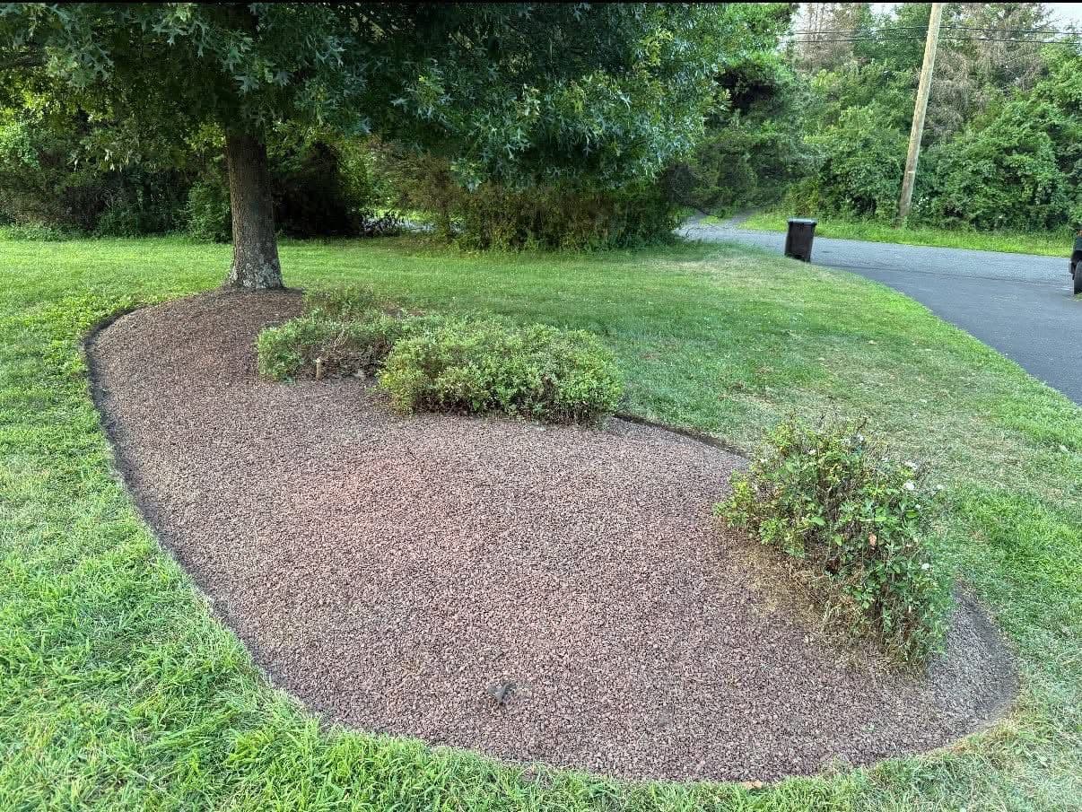 Gallery photos for Before and After Yard Cleanups That Speak for Themselves: Image #7