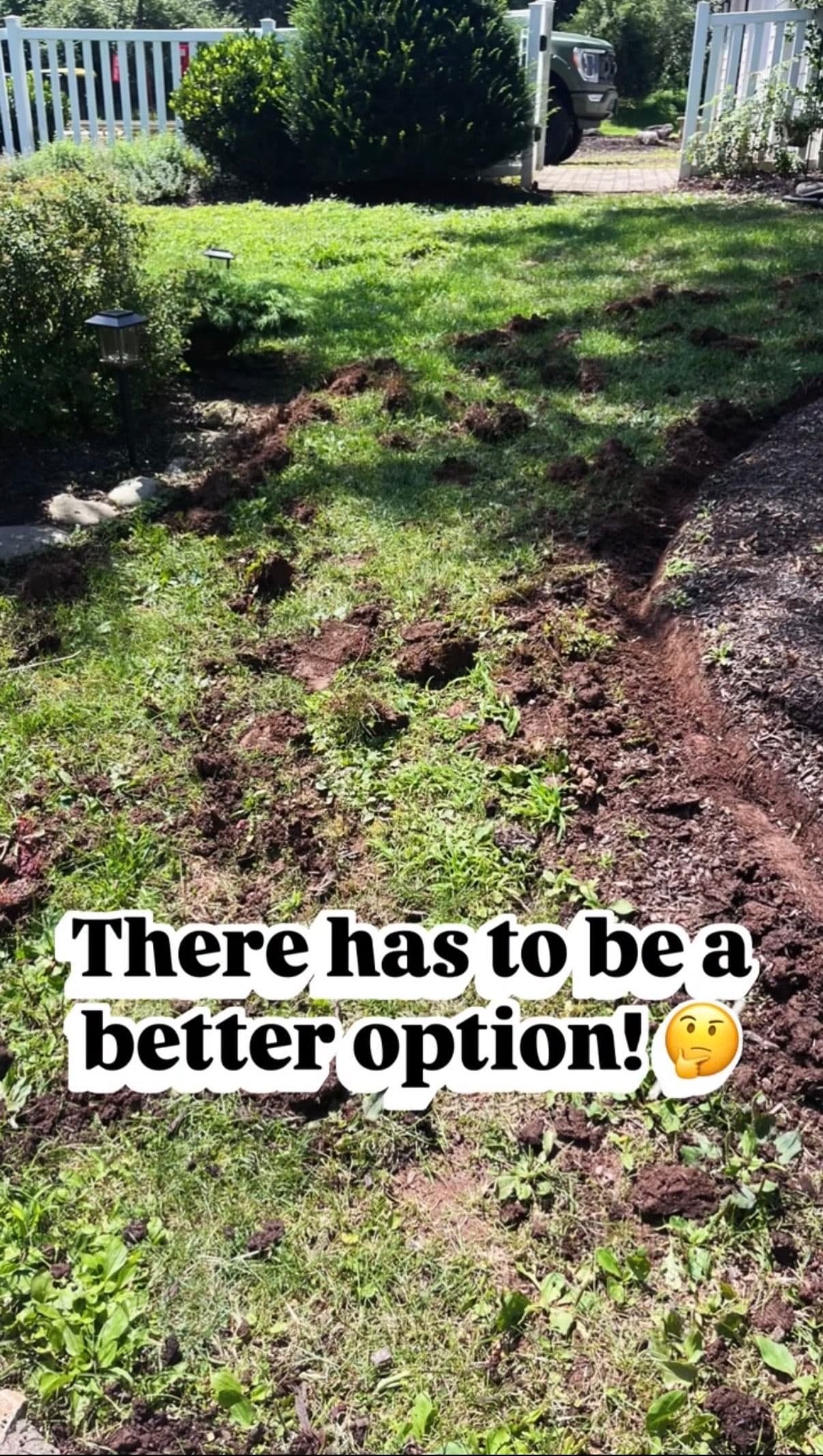Gallery photos for Flagstone Walkways, Pool Surrounds and Overgrown Beds - A Week of Work: Image #1