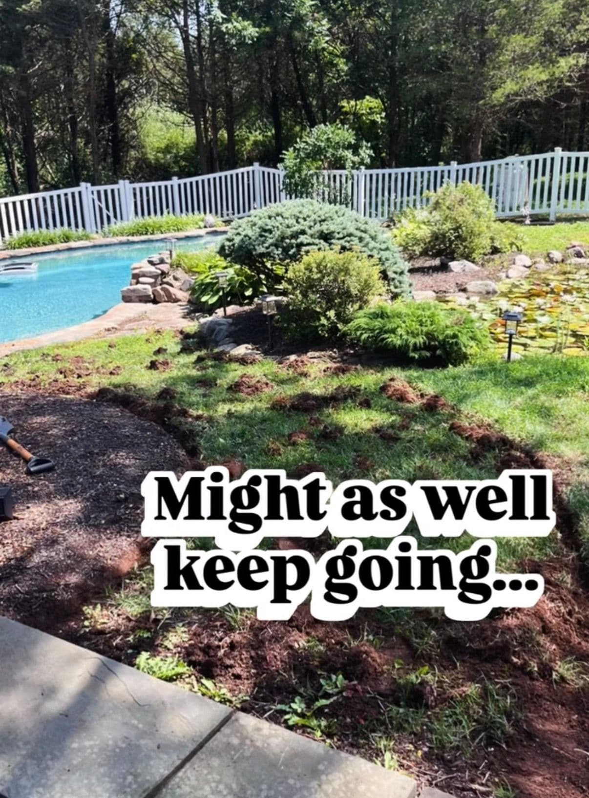 Gallery photos for Flagstone Walkways, Pool Surrounds and Overgrown Beds - A Week of Work: Image #5