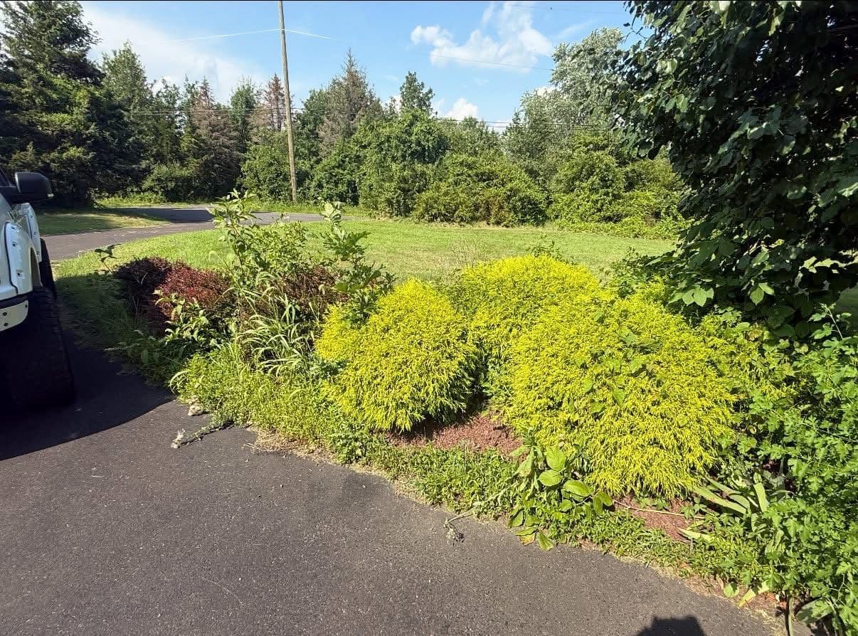 Gallery photos for Before and After Yard Cleanups That Speak for Themselves: Image #9