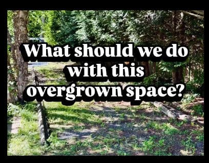 Gallery photos for Flagstone Walkways, Pool Surrounds and Overgrown Beds - A Week of Work: Image #7