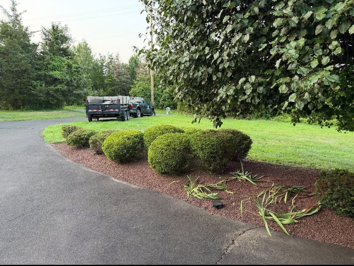 Gallery photos for Before and After Yard Cleanups That Speak for Themselves: Image #8